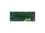 Alligator