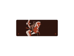 Crazy Horse