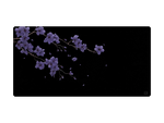 Brezza di fiori