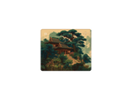 Rainforest
