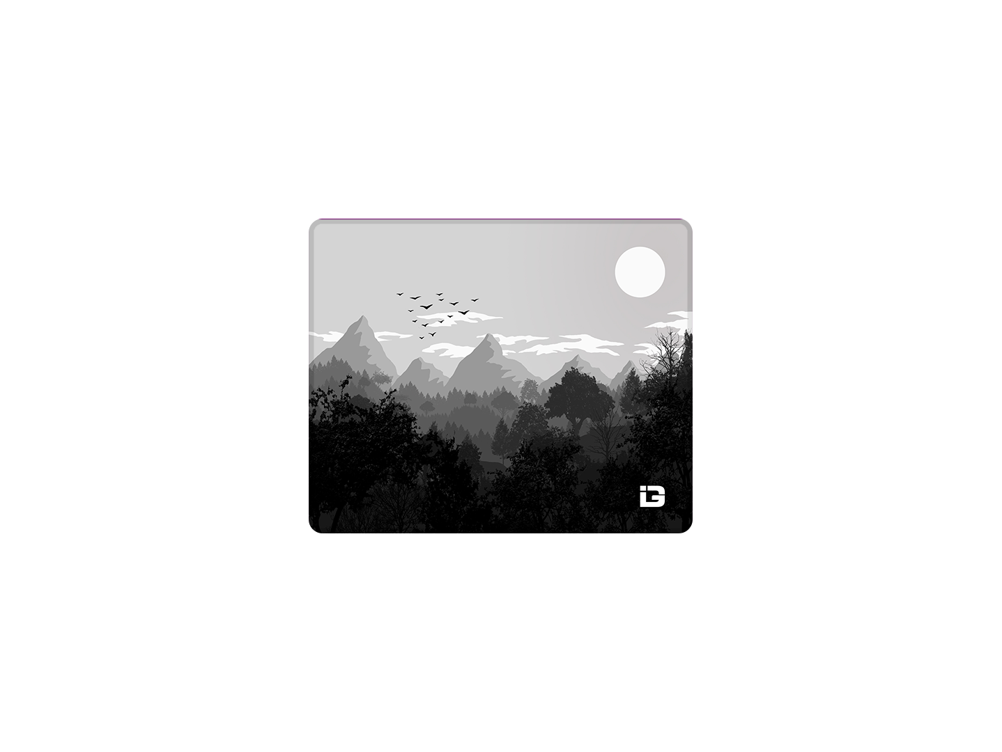 Möwen - Monochrom