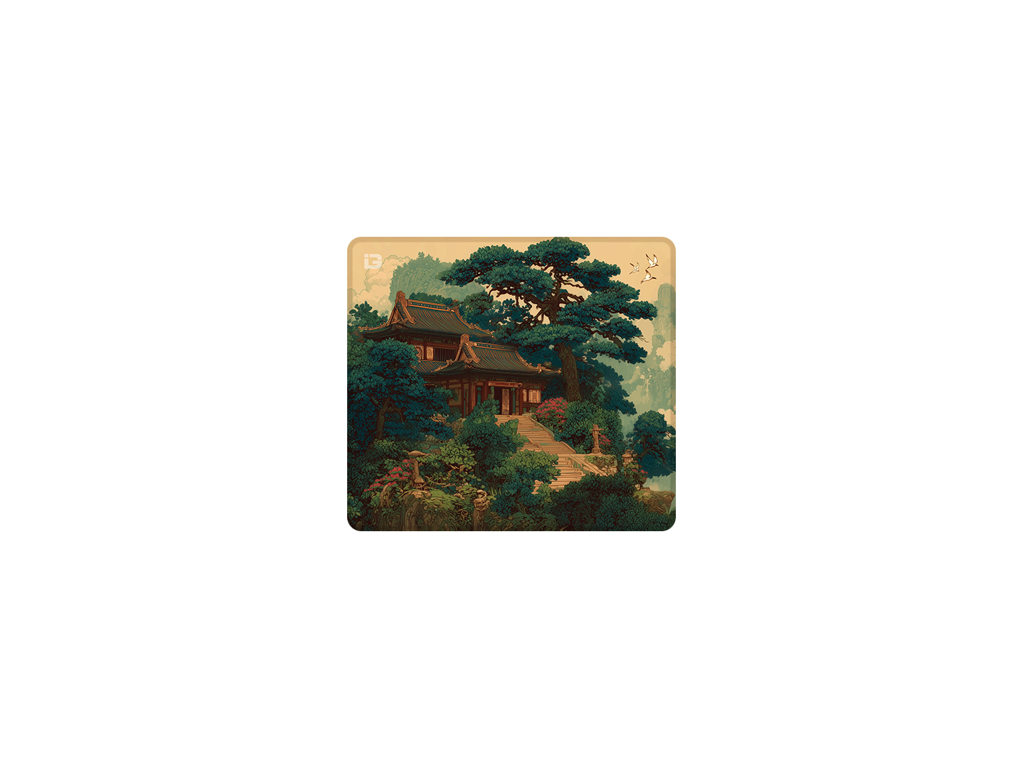 Rainforest