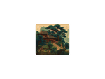 Rainforest