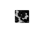 Lunar Flowers
