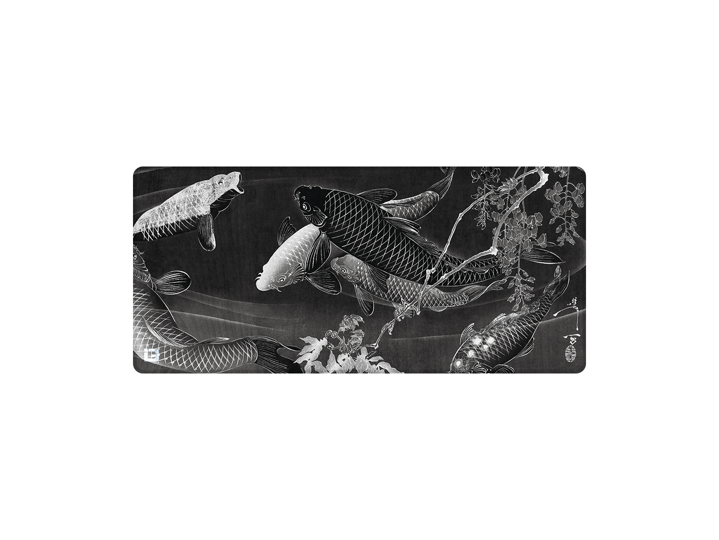Koi di mezzanotte