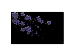 Brezza di fiori