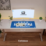 Hentai Academy