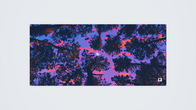 Forest Views