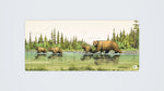 Famille Ours