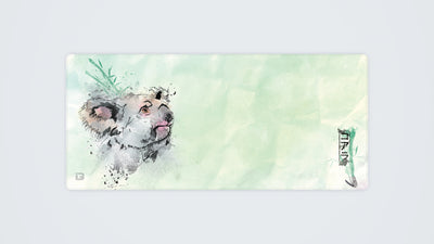 Akwarelowy Koala