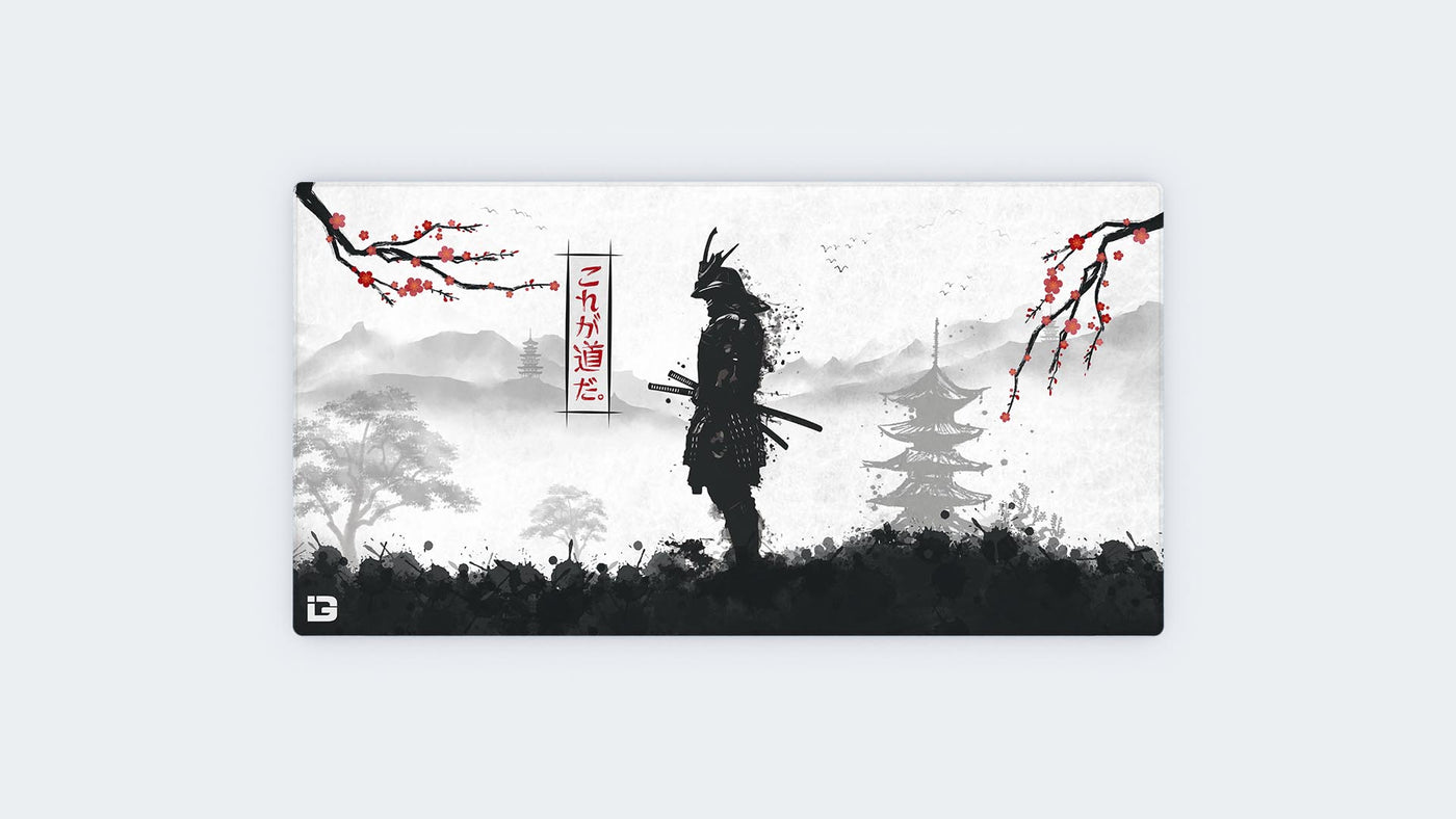 Samurai Warrior