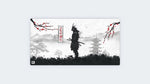 Samurai Warrior
