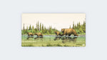 Famille Ours