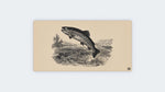 Vintage Trout
