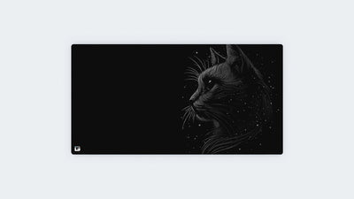 Space Cat