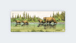 Famille Ours