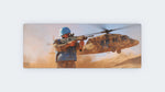 Desert Soldier