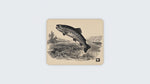 Vintage Trout