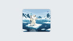 King Polar Bear
