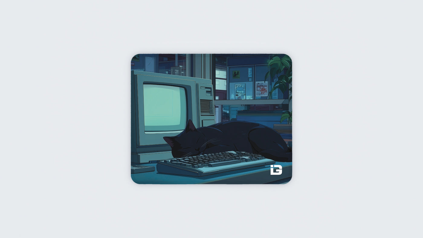 Lofi Sleeping Cat