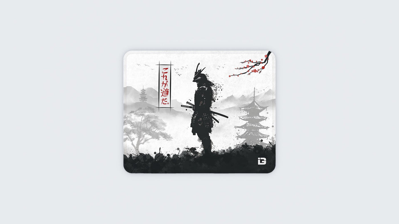 Samurai Warrior