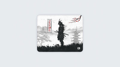 Samurai Warrior