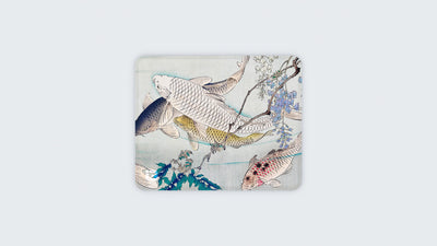 Laghetto per Koi