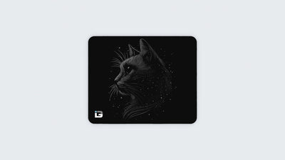 Space Cat