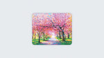 Cherry Blossom Trees