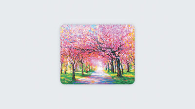 Cherry Blossom Trees
