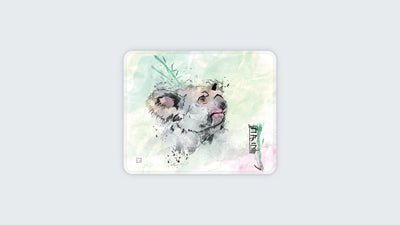 Akwarelowy Koala