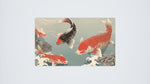 Japanese Koi