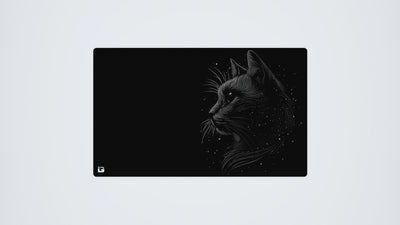 Space Cat