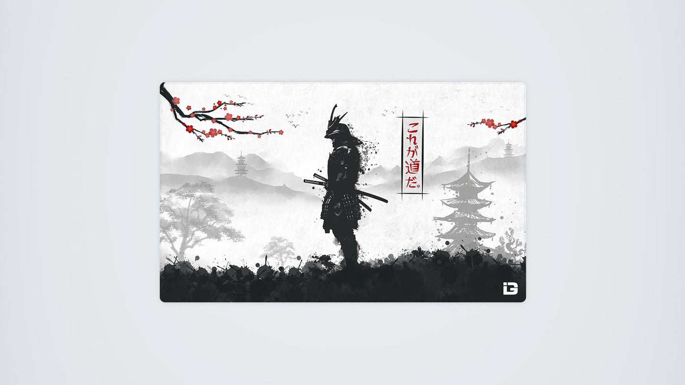 Samurai Warrior
