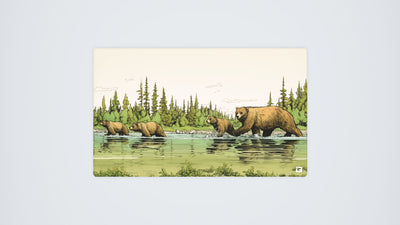 Famille Ours