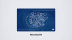 Falcon Blaupause