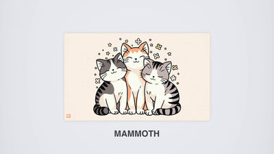 Trio Purrfect
