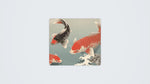 Japanese Koi