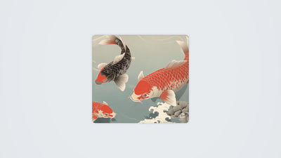 Japanese Koi