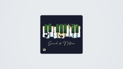 Sound Of Nature