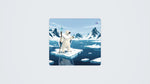 King Polar Bear