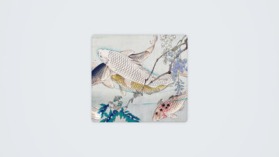 Laghetto per Koi