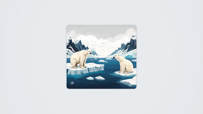 Polar Duo Chill
