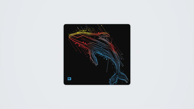 Whale Of Tomorrow