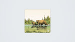 Famille Ours