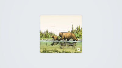 Famille Ours