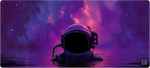 Astronaut Reflections