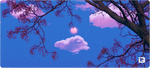 Moontrees
