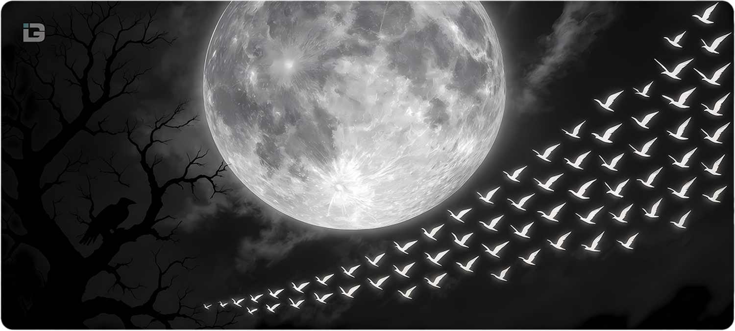 Wings Of Midnight