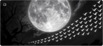 Wings Of Midnight